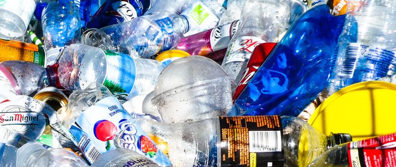 Recycling calendar for 2024-25