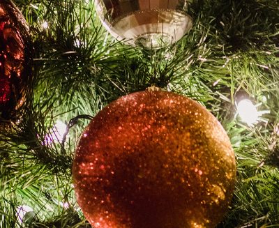 Stambourne Newsletter:  December 2025 / January 2026