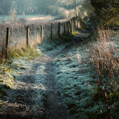 Walking around Stambourne