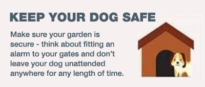Keep your dog safe