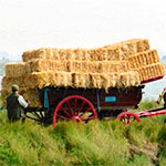 Nature-Friendly Farming Network