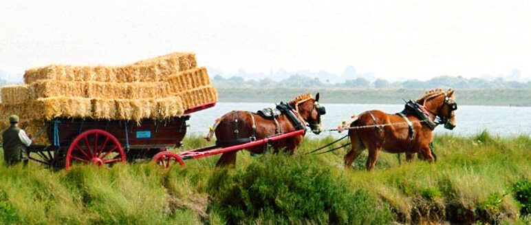 Nature-Friendly Farming Network