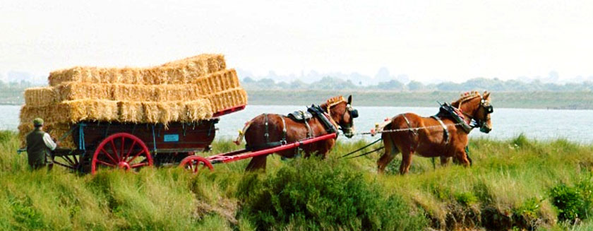 Nature-Friendly Farming Network talk