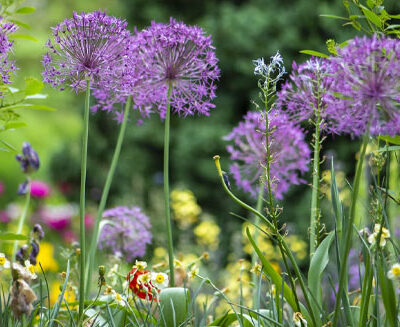Course: A History of Gardening seen through British Art