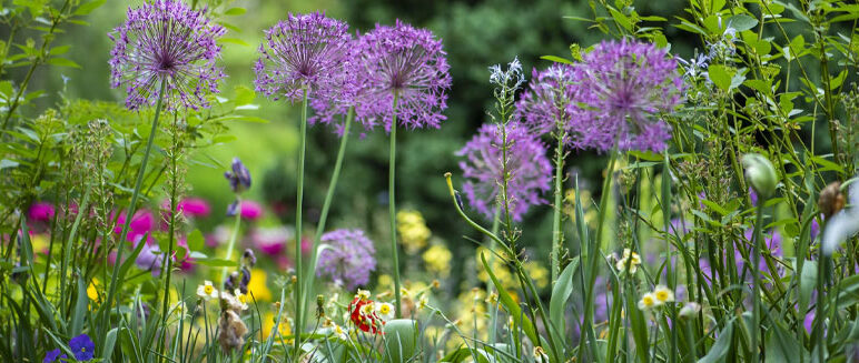 Course: A History of Gardening seen through British Art