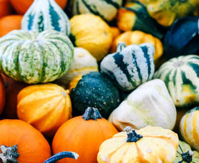 Stambourne Newsletter: October / November 2022