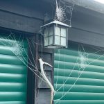Icy spiderwebs in Stambourne - From Jane W