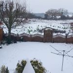 Snow in Stambourne - From Liz M