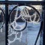 Icy spiderwebs in Stambourne - From Mandy