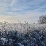 Snow in Stambourne - From Steve