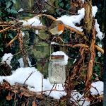 Snow in Stambourne - From Steve