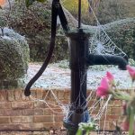 Icy spiderwebs in Stambourne - From Vicky