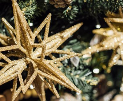 Stambourne Newsletter: December 2022 / January 2023