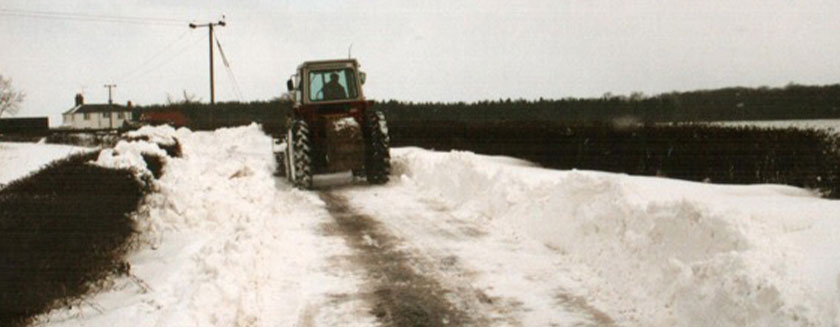 Snow 1991