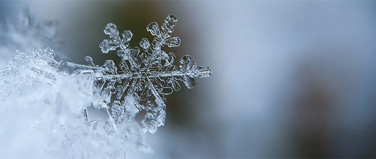 Information on the recent (very) low temperatures on the website