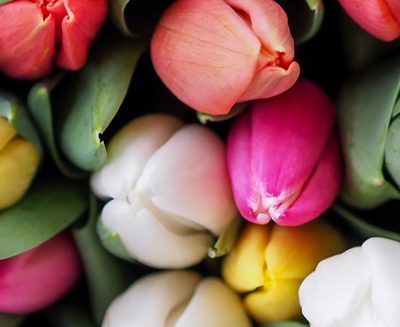 Stambourne Ladies Group April Meet-up