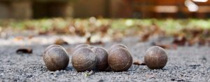 Games in the Park - boules