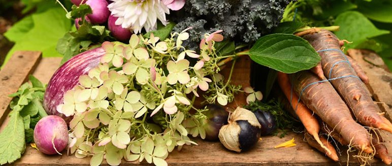 Toppesfield and Gainsford End Village Show