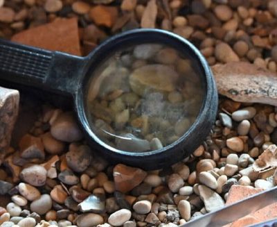 Festival of Essex Archaeology & Heritage 2026