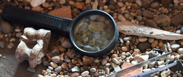 Festival of Essex Archaeology & Heritage 2026