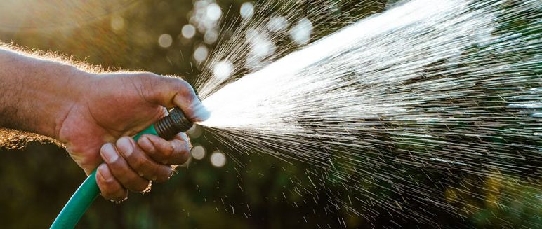 Hosepipe ban from 11th July 2026