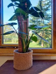 Jute plant pot crocheted by Anna - Knit & Natter Club - November 2022