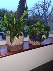 Anna's crocheted plant pots - Knit & Natter Club - April 2023 - Green Man in Toppesfield