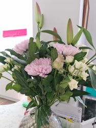 Create a floral work of art with Jane