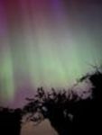 Aurora Borealis in Stambourne